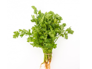 Coriander Leaves/Malliyila (UAE)